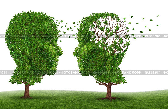 Living with a dementia patient and alzheimers disease with two trees in the shape of a human head and brain as a symbol of the stress and effects on loved ones and caregivers by the loss of memory and cognitive intelligence function. Стоковое фото, агентство Ingram Publishing / Фотобанк Лори