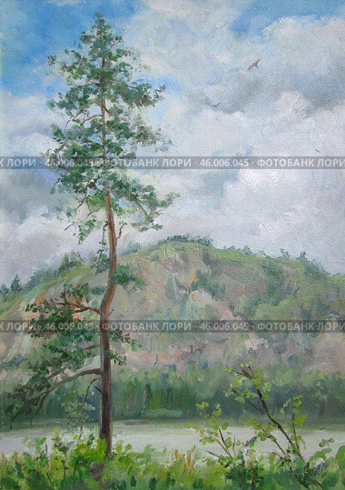 Lonely pine tree, oil painting. Стоковое фото, фотограф Aleksandra Serova / Фотобанк Лори