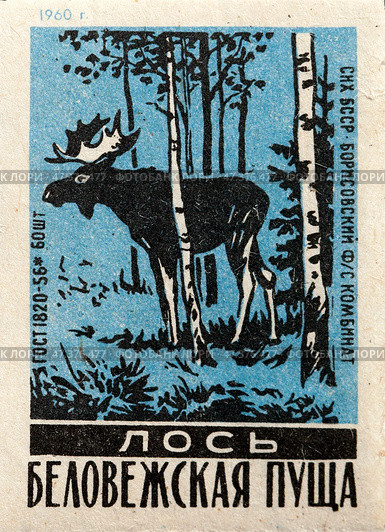 Лось. Серия: Беловежская пуща. Спичечные этикетки СССР. 1960. Редакционное фото, фотограф Сергей Афанасьев / Фотобанк Лори