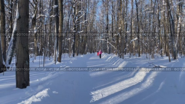Люди гуляют в городском парке по заснеженной аллее. Лыжники в ярких костюмах (2024 год). Стоковое видео, видеограф Щеголева Ольга / Фотобанк Лори