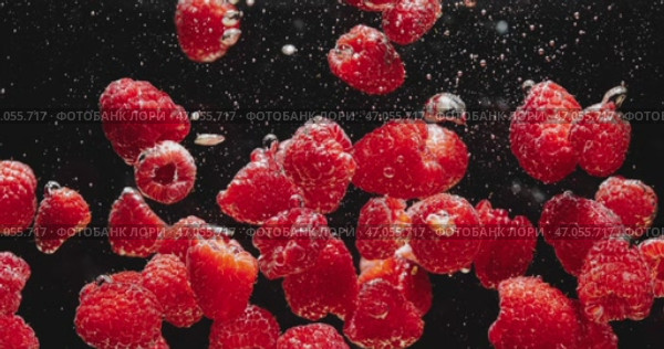 Luscious Fresh Raspberries Splashing in Clear Water Against a Deep Black Background. Стоковое видео, видеограф Владимир Ковальчук / Фотобанк Лори