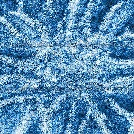 macro X-ray shot of fuzzy mold on white background. Стоковое фото, агентство Ingram Publishing / Фотобанк Лори