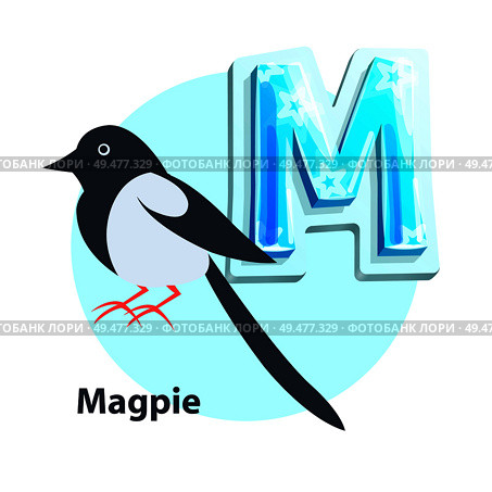 Magpie little black-and-white bird presenting M letter in english alphabet. Children ABC element with vector cartoon character and uppercase char.. Magpie for M Letter in Children Crisscross-row. Стоковая иллюстрация, агентство Ingram Publishing / Фотобанк Лори