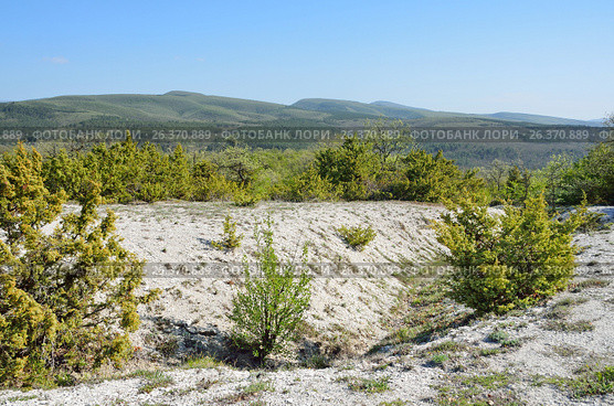 Майский день в горах Крыма. Стоковое фото, фотограф Овчинникова Ирина / Фотобанк Лори