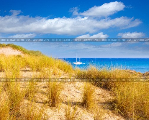 Majorca Cala Mesquida beach in Mallorca Balearic Islands of Spain. Стоковое фото, агентство Ingram Publishing / Фотобанк Лори
