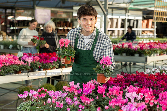 Male worker arranging pots with plants. Стоковое фото, фотограф Яков Филимонов / Фотобанк Лори