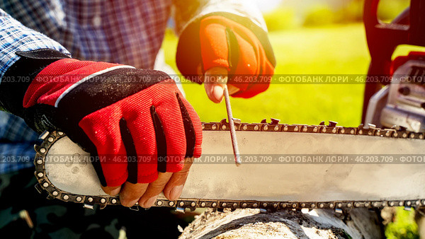 man sharpens the chain of chainsaw. Стоковое фото, фотограф Igor Skripachev / Фотобанк Лори