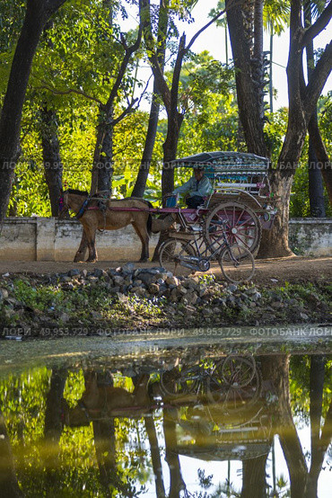 MANDALAY 2 November 2015, tourists hire horse carriage for ancient city tour in Ava, The Ava Kingdom was the dominant kingdom that ruled upper Burma (Myanmar) from 1364 to 1555. Стоковое фото, агентство Ingram Publishing / Фотобанк Лори