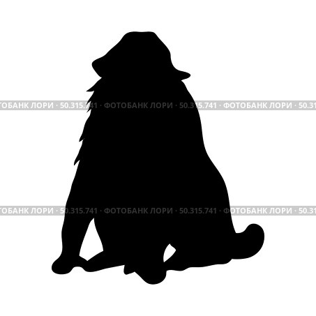 Mandrill Ape Silhouette. Smooth and clean lines. High detailed Mandrill monkey silhouette. Vector Illustration.. apes silhouettes set. Стоковая иллюстрация, агентство Ingram Publishing / Фотобанк Лори