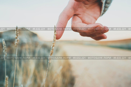Man’s hand touching a fragile spike. Стоковое фото, агентство Ingram Publishing / Фотобанк Лори