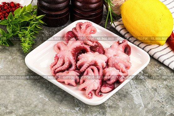 Marinated baby octopus snack appetizer. Стоковое фото, фотограф Андрей Старостин / Фотобанк Лори