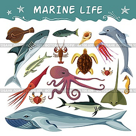 Marine Inhabitants Decorative Icons Set. Marine inhabitants cartoon decorative icons set with dolphin shark sea turtle octopus crab squid isolated flat vector illustration . Стоковая иллюстрация, агентство Ingram Publishing / Фотобанк Лори