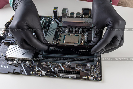 Maykop, Russia - February 18, 2025: The woman's hands install the kingston fury ddr4 RAM module in the Asus motherboard socket close-up. Редакционное фото, фотограф Андрей С / Фотобанк Лори