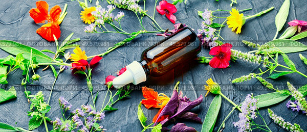 Medical essential oils of flowers and herbs.Herbal essence.Aroma essential oil. Bottle with herb essential oil. Стоковое фото, агентство Ingram Publishing / Фотобанк Лори