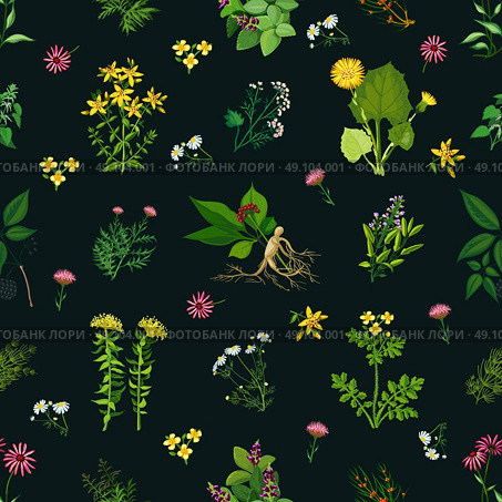 Medicinal Herbs Seamless Pattern. Seamless color pattern with dark background depicting different medicinal herbs vector illustration. Стоковая иллюстрация, агентство Ingram Publishing / Фотобанк Лори