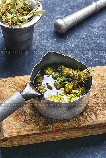 medicinal hops cones. Iron dipper with medicinal decoction of hop cones. Стоковое фото, агентство Ingram Publishing / Фотобанк Лори