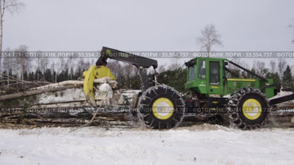 Механизированная вырубка леса. Трелевочный трактор John Deere 748H в работе. Mechanized felling clearing. John Deere 748H skidder at work. (2020 год). Редакционное видео, видеограф Евгений Романов / Фотобанк Лори
