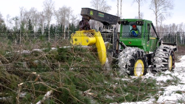 Механизированная вырубка леса. Трелевочный трактор John Deere 748H в работе. Mechanized felling clearing. John Deere 748H skidder at work. (2020 год). Редакционное видео, видеограф Евгений Романов / Фотобанк Лори