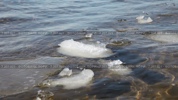 Мелкие льдины плавают на поверхности воды в солнечный день. Стоковое видео, видеограф FotograFF / Фотобанк Лори