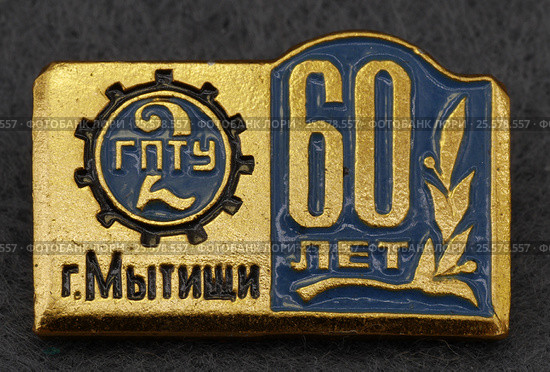 Металлический значок "Мытищи 60 лет" (2017 год). Редакционное фото, фотограф Максим Гулячик / Фотобанк Лори