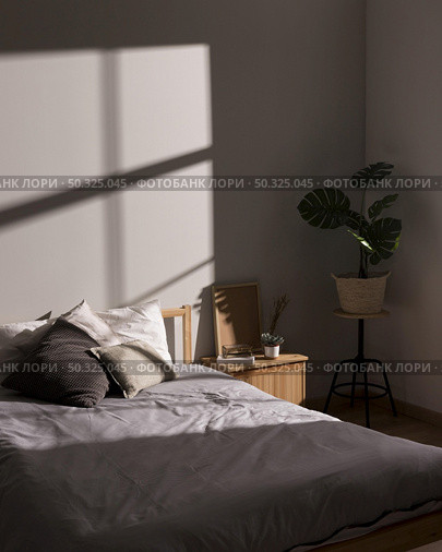 minimalistic bed with interior plant . Resolution and high quality beautiful photo. minimalistic bed with interior plant . High quality and resolution beautiful photo concept. Стоковое фото, агентство Ingram Publishing / Фотобанк Лори