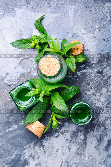 Mint essence oil in a small bottle and fresh leaves.Healing plants. Essential mint oil with green leaves. Essential mint oil with green leaves. Стоковое фото, агентство Ingram Publishing / Фотобанк Лори
