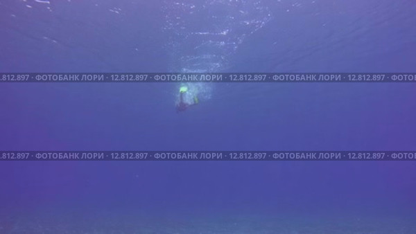 Молодая женщина плывет под поверхности воды, вид из-под воды. Стоковое видео, видеограф Некрасов Андрей / Фотобанк Лори