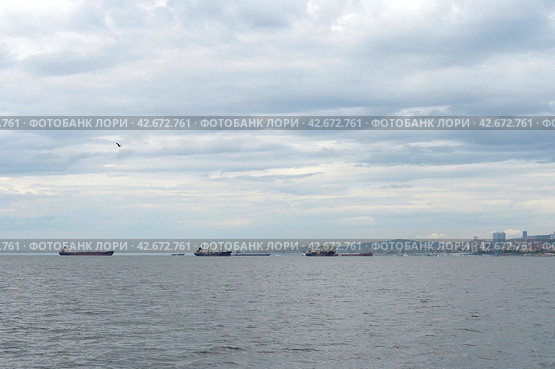 Морские суда в Амурском заливе у Владивостока (2022 год). Редакционное фото, фотограф Free Wind / Фотобанк Лори