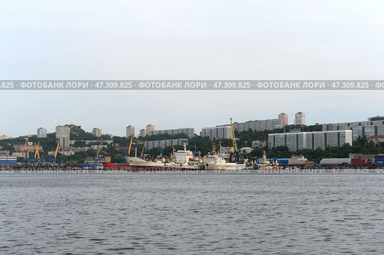 Морские суда в бухте Золотой Рог во Владивостоке (2022 год). Редакционное фото, фотограф Free Wind / Фотобанк Лори