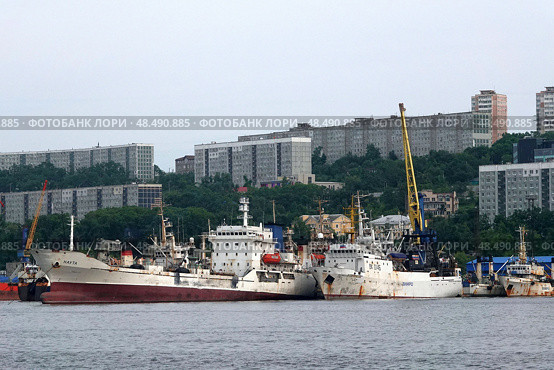 Морские суда в бухте Золотой Рог во Владивостоке (2022 год). Редакционное фото, фотограф Free Wind / Фотобанк Лори