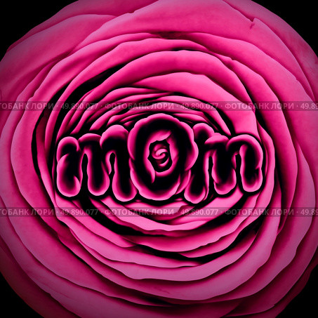 Mother mom flower with a pink rose with text shaped to represent motherhood and mothers day celebration and springtime love greeting for mommy as a 3D illustration style. Стоковое фото, агентство Ingram Publishing / Фотобанк Лори