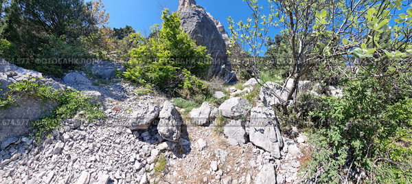 Mountain landscape in the Simeiz area, Crimea. In the foreground is a rocky path covered with large and medium pebbles, leading through randomly scattered boulders. Around the path is dense vegetation: bushes, young trees with bright greenery, climbers and grasses. On the right rises a picturesque cliff, partially shaded by the crown of trees. The high blue sky without clouds creates the feeling of a clear hot day. The wild Crimean nature appears in all its pristine beauty - an ideal place for hiking, solitude and meditation. Стоковое фото, фотограф Анна Кривицкая / Фотобанк Лори
