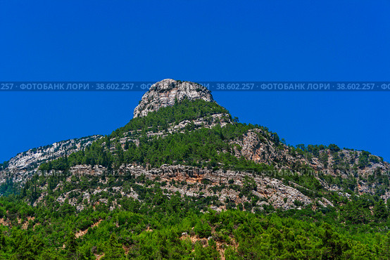 Mountains and evergreen forest on a sunny summer day. Стоковое фото, фотограф Алексей Яговкин / Фотобанк Лори