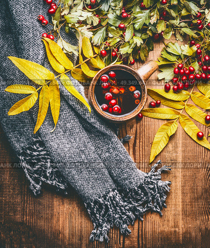 Mug of herbal tea with red autumn hawthorn berries , fall leaves and scarf on rustic wooden background, top view. Стоковое фото, агентство Ingram Publishing / Фотобанк Лори