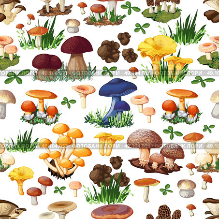 Mushroom Seamless Pattern. Mushroom seamless pattern with forest wild species  so as suillus puffball russula chanterelle shiitake morel truffle honey fungus cartoon vector illustration. Стоковая иллюстрация, агентство Ingram Publishing / Фотобанк Лори