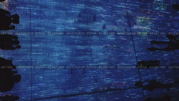 Музей цифрового искусства teamLab Borderless в Токио, Япония (2024 год). Редакционное видео, видеограф Владимир Макеев / Фотобанк Лори