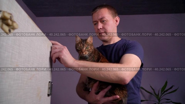 Мужчина с кошкой в руке открывает дверцу шкафчика и протягивает руку, чтобы взять что-то, вид изнутри. Стоковое видео, видеограф Sergei Gorin / Фотобанк Лори