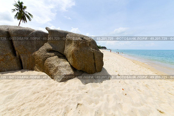 myanmar asia  kho samui bay isle froth foam   in thailand and south china sea . Стоковое фото, агентство Ingram Publishing / Фотобанк Лори