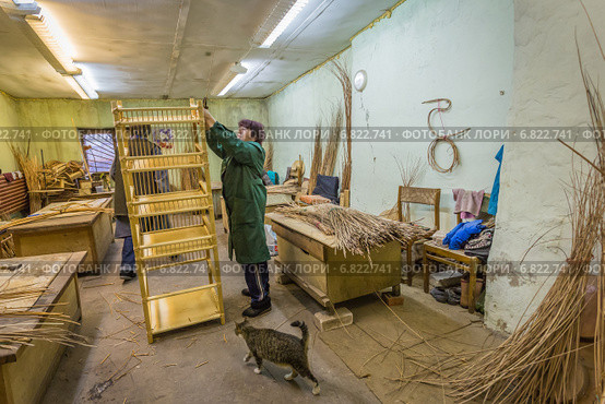 На предприятии ООО "Шиловская лоза", Шилово, Рязанская область (2014 год). Редакционное фото, фотограф Марина Круглякова / Фотобанк Лори