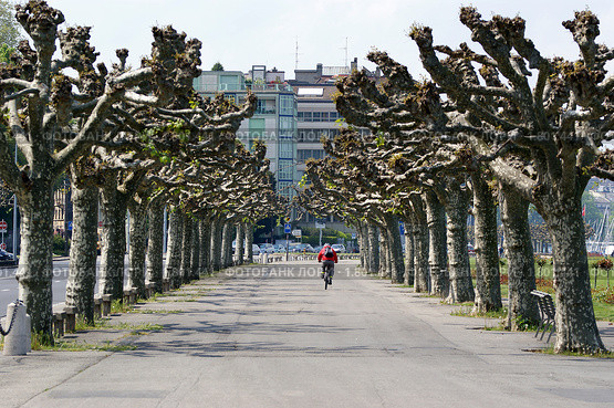 Набережная Женевского озера, Швейцария (2010 год). Стоковое фото, фотограф Владимир Журавлев / Фотобанк Лори