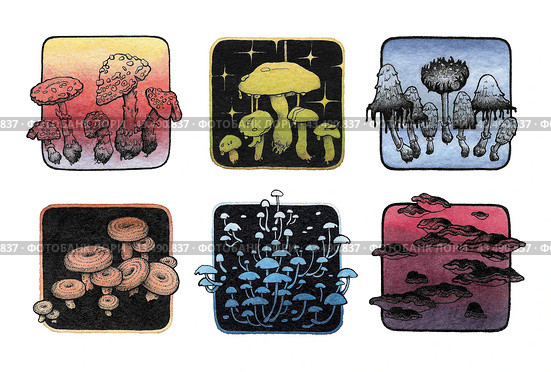 Набор радужных грибов. Set with rainbow mushrooms. Стоковая иллюстрация, иллюстратор Карнаухова Елена / Фотобанк Лори