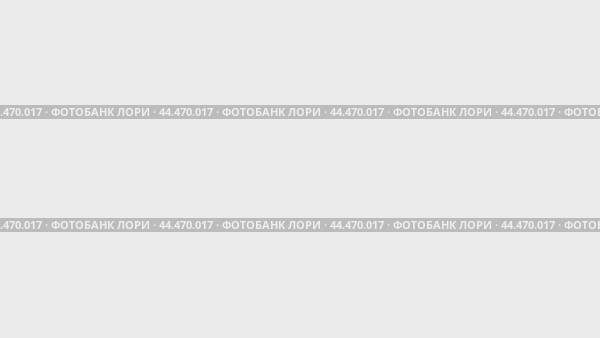 Настройка анимации, автоматическое торможение. Анимации: прозрачность, масштабирование, переход сверху вниз, переход слева направо, скольжение вверх-вниз, скольжение слева направо. Стоковое видео, видеограф Карпенко Алексей / Фотобанк Лори