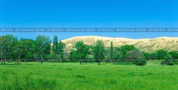 Natural landscape with a huge sand dune Sarykum in the background (2022 год). Редакционное фото, фотограф Евгений Харитонов / Фотобанк Лори