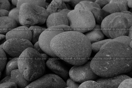 nature stones pebbles silicic bw. Стоковое фото, фотограф Andreas Hömer / PantherMedia / Фотобанк Лори