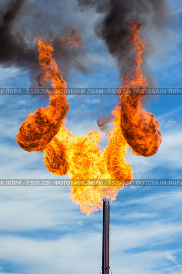 Нефтяной факел. Сжигание попутного газа. Стоковое фото, фотограф Икан Леонид / Фотобанк Лори