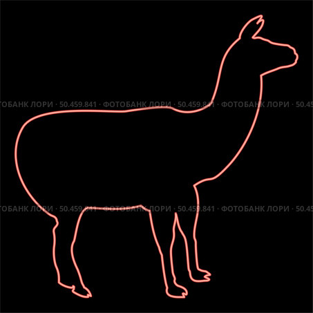 Neon alpaca Llama Lama Guanaco red color vector illustration image flat style light. Neon alpaca Llama Lama Guanaco red color vector illustration image flat style. Стоковая иллюстрация, агентство Ingram Publishing / Фотобанк Лори
