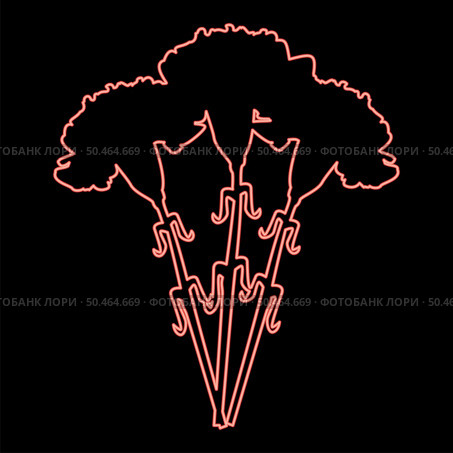 Neon bouquet of flowers Carnation red color vector illustration image flat style light. Neon bouquet of flowers Carnation red color vector illustration image flat style. Стоковая иллюстрация, агентство Ingram Publishing / Фотобанк Лори