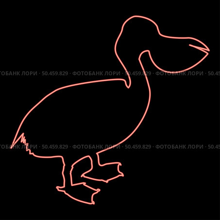 Neon pelican bird Seabird Waterbird red color vector illustration image flat style light. Neon pelican bird Seabird Waterbird red color vector illustration image flat style. Стоковая иллюстрация, агентство Ingram Publishing / Фотобанк Лори