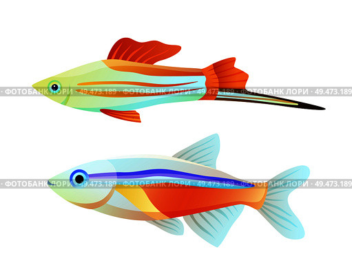 Neon tetra and swordtail fish isolated on white. Freshwater aquarium pets silhouette icon on blank background in cartoon style vector illustration. Neon tetra and swordtail fish isolated on white. Стоковая иллюстрация, агентство Ingram Publishing / Фотобанк Лори