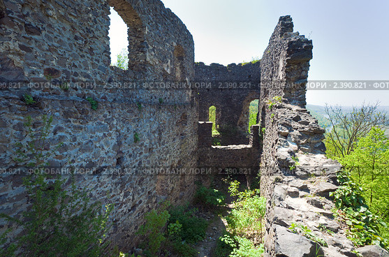 Невицкий замок, Украина (2010 год). Стоковое фото, фотограф Юрий Брыкайло / Фотобанк Лори